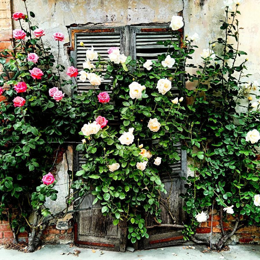 Teresa Al Belvedere Rooms&Holidayapartments Camere&Appartamenti Castellinaldo エクステリア 写真