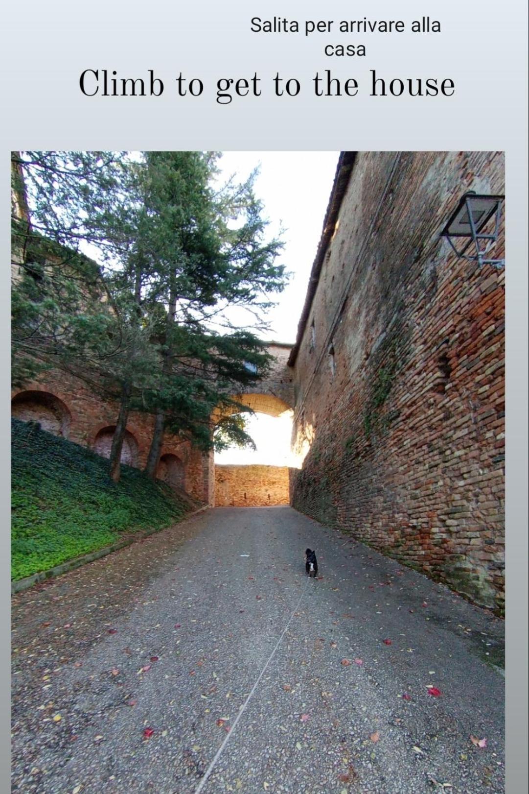 Teresa Al Belvedere Rooms&Holidayapartments Camere&Appartamenti Castellinaldo エクステリア 写真