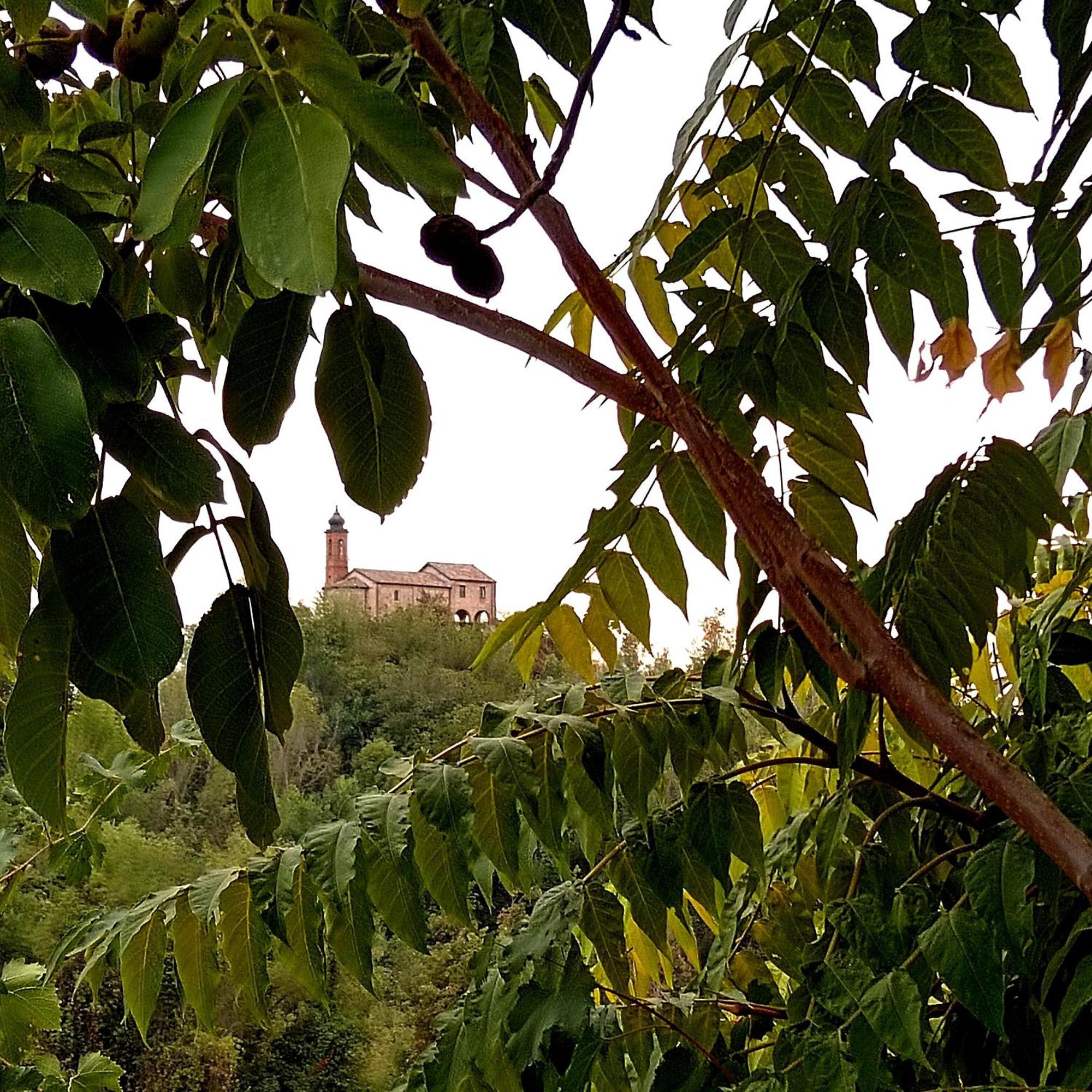 Teresa Al Belvedere Rooms&Holidayapartments Camere&Appartamenti Castellinaldo エクステリア 写真