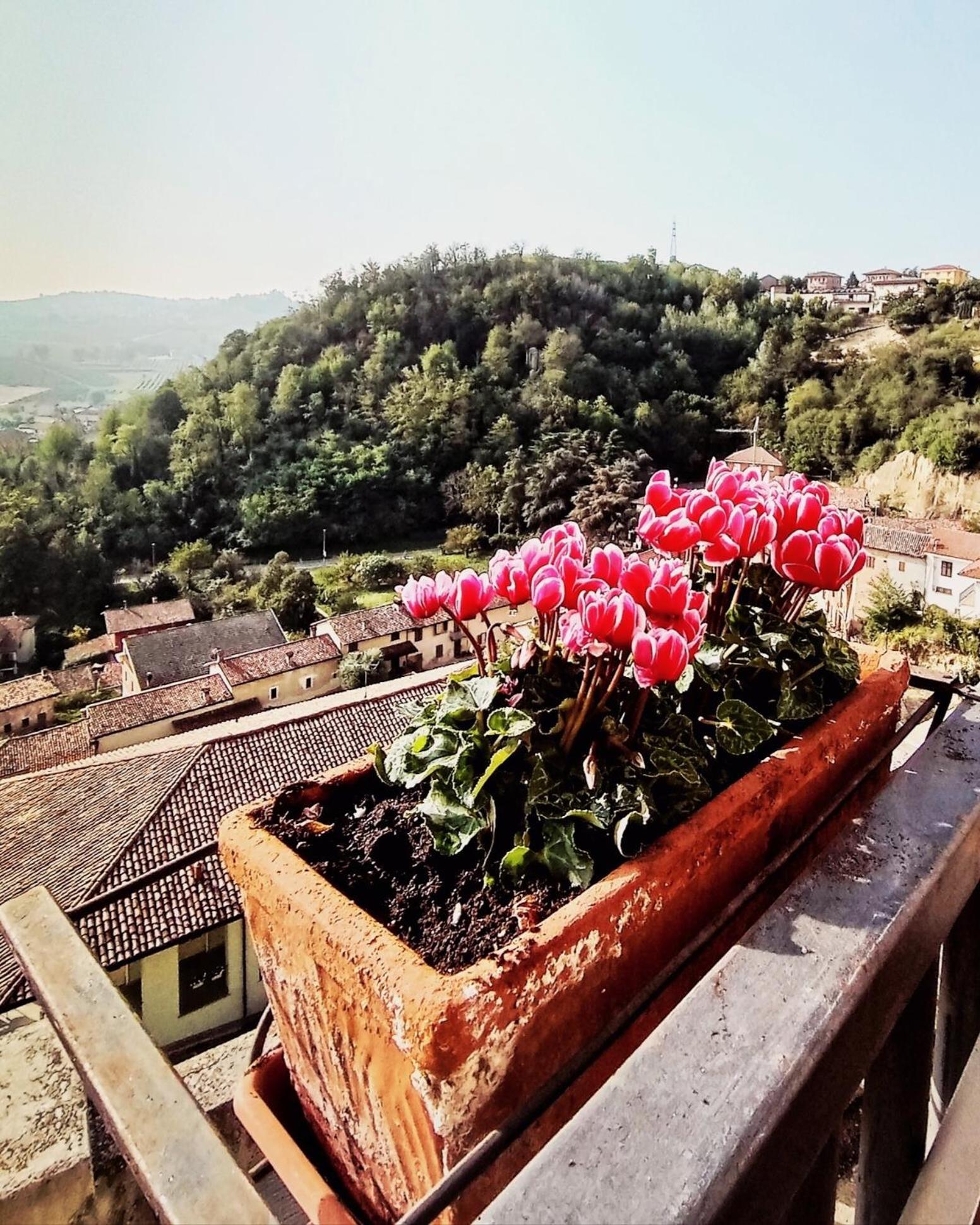 Teresa Al Belvedere Rooms&Holidayapartments Camere&Appartamenti Castellinaldo エクステリア 写真